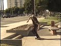 Van Wastell Mix Fox edit