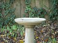 Hummingbird Bath Hummingbird Bath