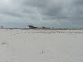 Shore birds on Orange Beach AL