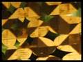 Sensibilidade - Sensibility