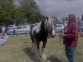 Appleby Horse Fair 2007 Appleby Horse Fair 2007