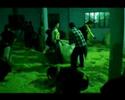tuberose extraction tuberose extraction
