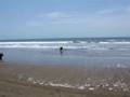 videos de Captain - Beach n Ball