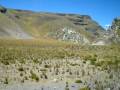 videos de Trajet Arequipa - Puno