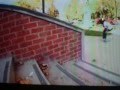 videos de Nyjah Huston Does 1080 Flip-Awsome!
