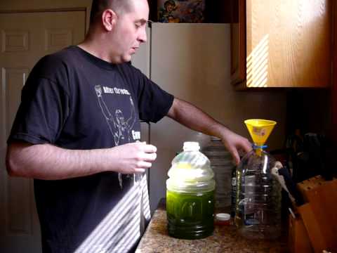 how to grow zooplankton