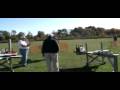 Bill's Lazy Tiger P-51 with bigger prop