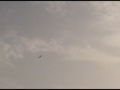 EFlite F15 twin EDF