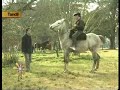 jorge ariztegui y el zorro   primera parte