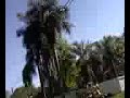paseo en el mieresmovil!!
