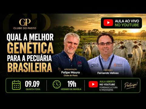 Qual a melhor genética para a pecuária brasileira?  Com Fernando Velloso | Clube do Pasto