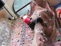 kendal climbing wall tufa stalactite