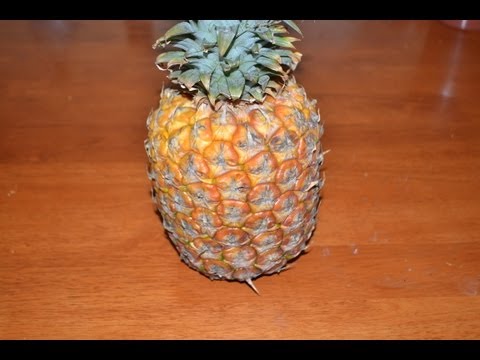 pina