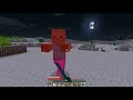 Minecraft: Survival 
