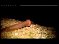 Untreated-Sewage-Spi