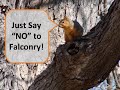 Birds + Bees | 4 Truths about Social Media Networking Birds + Bees | 4 Truths about Social Media Networking