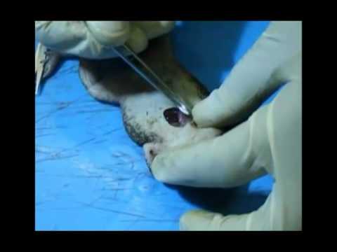 how to isolate drugs