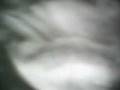 luces en la pared.AVI