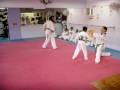 videos de FRANCISCO ALBERTO MENDEZ (EXAMEN CINTURON NEGRO) rompimiento MADERA