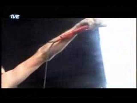 the used - taste of ink lyrics