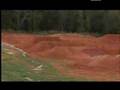 Supercross - At Home with Davi Millsaps