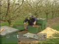 Beekeeper