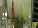 Hydrogen Tap (New ConFig MUST SEE) 162 Hydrogen Tap (New ConFig MUST SEE) 162