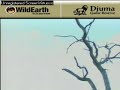 Sunset drive 112907-10