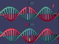 dna-repair.html