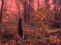 Trailer film horror