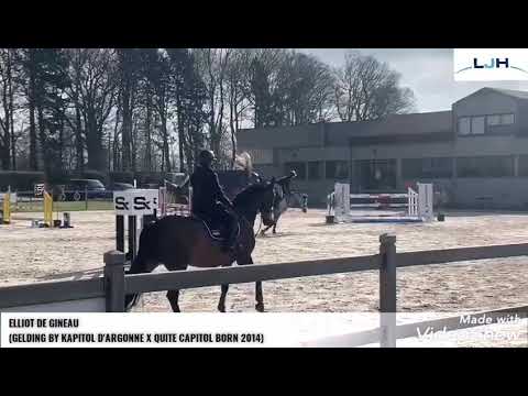 ELLIOT DE GINEAU 1M30 TRAINING SHOW BORNIVAL FEBRUARY 2021