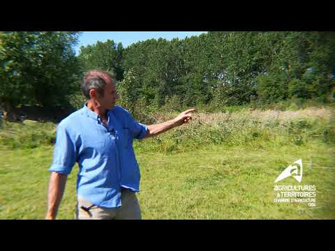 Image de prévisualisation YouTube