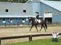 FEI 6 Year Old Horse Dressage