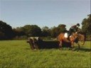 Sunny-Jim Xc 8/10/2008