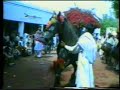 Horse Dancing in Pakistan - Nisar Stad