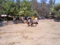 tabernero video AA.AVI