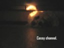 Cassy - Mercy