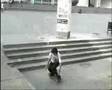 timmy garbett 5stair sesh