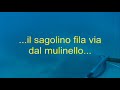 Il dentice all\