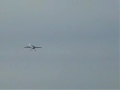 Estreno SU-29 de X-TREME Composite