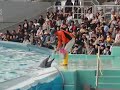 Click here to watch this video Dolphins' Show - Bowing [Part 1]