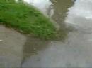 WALKIN IN THE RAIN