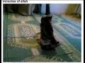 in islam, even the carpet is converted to islam in islam, even the carpet is converted to islam