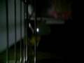 videos de Antes do Redemption Song