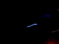 wolves in the throne room   cleansing  live 