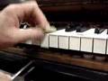 Adjusting-key-dip-on