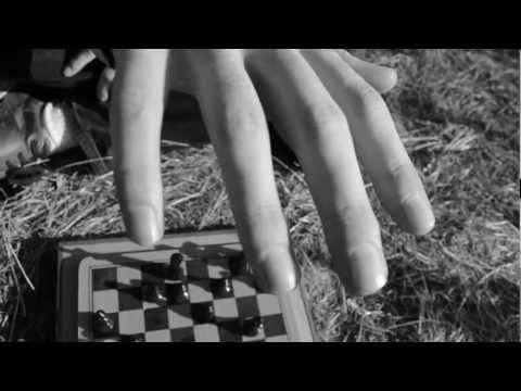 chess knight