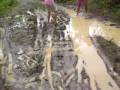 videos de baura family 088