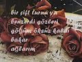 Yasemin Goksu-Aldi Gitti