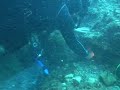Blu Shark - Operazione Geltrude Blu Shark - Operazione Geltrude